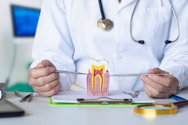 Professional Emergency Dental Service in FL